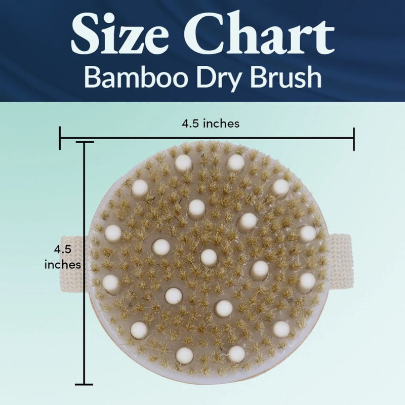 Bamboo dry brush with size chart indicating 4.5 inches in diameter on a blue and green gradient background.