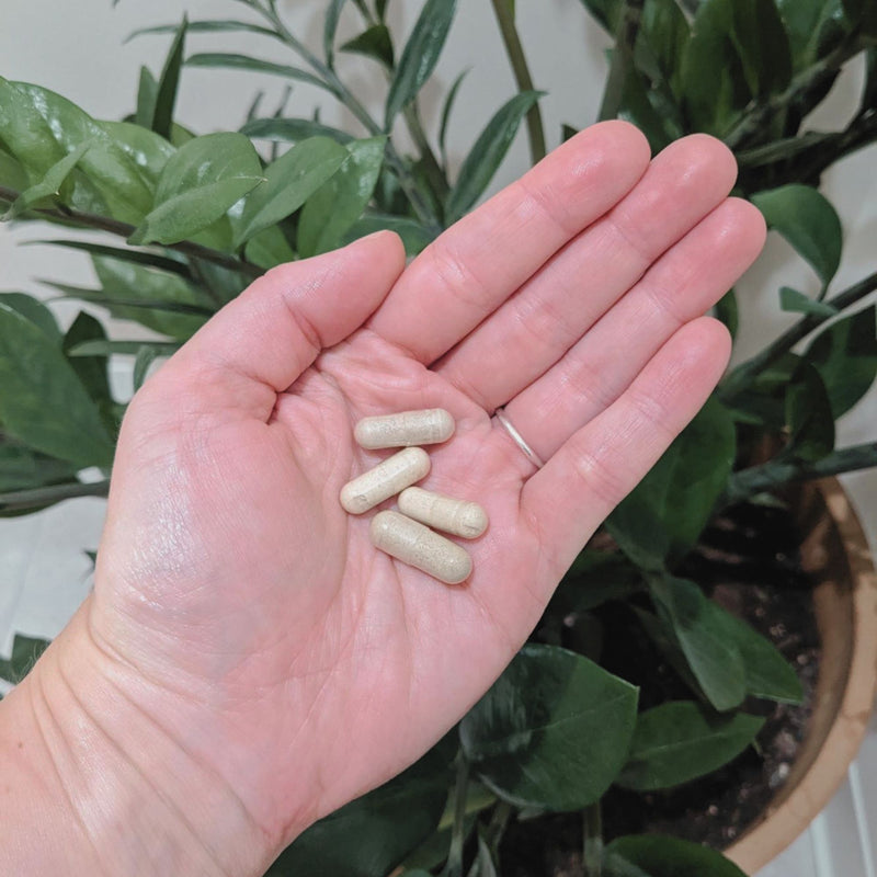 Four beige capsules held in a person's open palm, with a silver ring on the ring finger and a green potted plant in the background.